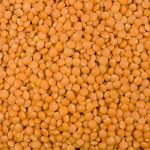 Linsen rot bio 5 kg