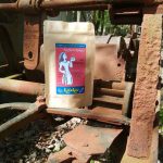 KolaKao würzig - der KoffeinKakao mit 40% Kolanuss, Zimt und Chili - 250g Pulver