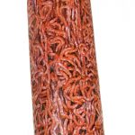 BIO Hackfleisch Rind TK