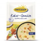 Kokos-Gemüse Suppe Asia Art Bio