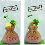 BIO Geldsack