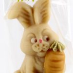 BIO Hase Mümmelmann