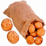 BIO Kartoffeln im Jutesack