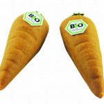 BIO Möhre im Korb