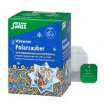 Polarzauber Früchte-Gewürztee bio 15 FB
