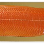 1 Seite Bio-Lachs Rohware