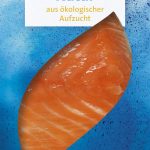 Bio Mare Stremel Lachs Natur