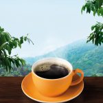 Plantagen Kaffee, gemahlen