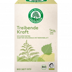 Treibende Kraft