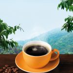 Plantagen Kaffee, ganze Bohne