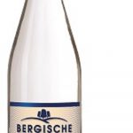 Bergische Waldquelle Natur 0,5L