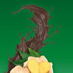 Bio-Ingwer-Creme in Edel-ZB-Schokolade