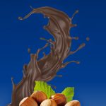 Bio-Nougat in Edel-ZB-Schokolade