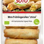 Bio Mini Frühlingsrollen China-Style