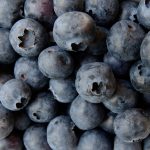 TK Bio-Wild-Heidelbeeren