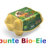Die Biohennen bunte Bio Eier gekocht & gefärbt