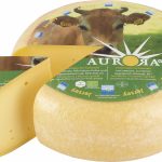 Aurora Gold Gouda Jersey Halber Laib