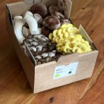 Demeter-Edelpilzmix (1 kg)