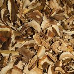 BIO Steinpilze á 1 kg 