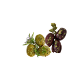 OELiven Mix-Variation 2kg Vakuum - Gemischte Bio Oliven