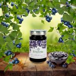 Frutteto Italia 100 % Heidelbeere Bio-Fruchtaufstriche 250g. Fruchtanteil 100 %.