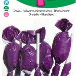 Schwarze Johannisbeer-Lolli