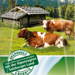 SM Bergbauern Bio H-Milch 3,8% 1lt