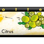 Yuzu Citrus