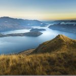 MLM Manuka Honig MGO 806+ 125g bio