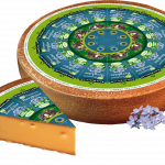 Bio Sennerei Bergkäse, ca. 18 Monate gereift, Hartkäse 50% Fett i. Tr. 